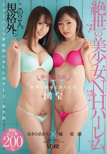 DASD-377 A Dream Co-Starring Pair An Unequaled Beautiful Girl NH Harlem Seri Kizuki x Akari Yukino