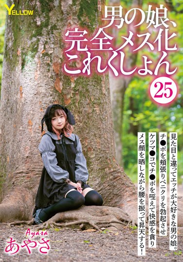 HERY-128 Man’s Daughter, Complete Female Collection 25 Ayasa